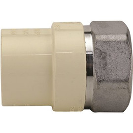 Apollo 1 in. x 1 in. CPVC CTS Slip Stainless Steel FPT Adapter