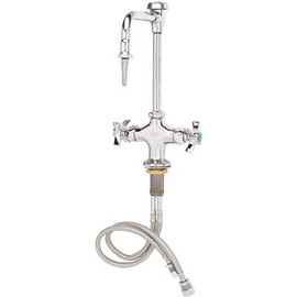 T&S 2-Handle Laboratory Faucet with Vacuum Breaker in Chrome