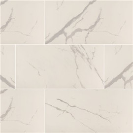 MSI Ader Tegal 12 in. x 24 in. Polished Porcelain Marble Look Floor and Wall Tile (16 sq. ft./Case)