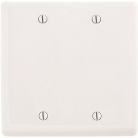HUBBELL WIRING 2-Gang White Box Mount Blank Wall Plate