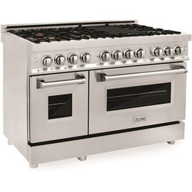 48" 6.0 cu. ft. Dual Fuel Range with Gas Stove and Electric Oven in Stainless Steel with Brass Burner(RA-BR-48)