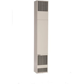 Williams 60,000 BTU/Hour Forsaire Counterflow Direct-Vent Wall Heater Liquid Propane Gas