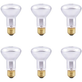 Sylvania 30-Watt R20 Flood and Spot Incandescent Light Bulb (6-Pack)