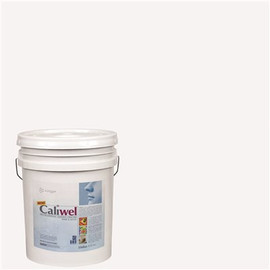 CALIWEL 5 gal. Gray Latex Interior Paint