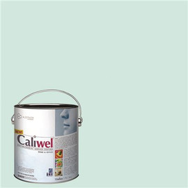 CALIWEL 1 gal. Green Latex Interior Paint