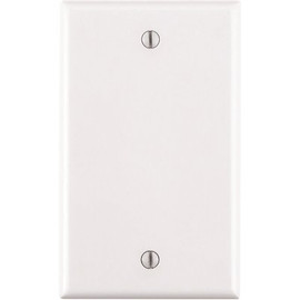 Leviton 1-Gang No Device Blank Wallplate Standard Size Thermoplastic Nylon Box Mount White