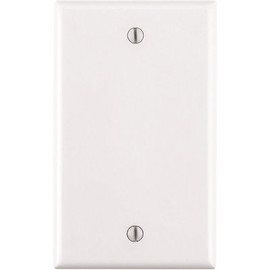 Leviton 1-Gang No Device Blank Wallplate Standard Size Thermoplastic Nylon Box Mount White