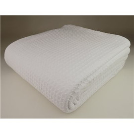 GANESH MILLS 90 in. x 90 in. White Queen Jaipur Blanket in (6 per Case)