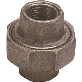 ProPlus 1-1/4 in. Black Malleable Union