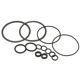 Watts POWERS GASKET KIT