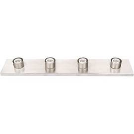 ROYAL COVE 4-Light Brushed Nickel Bath Light