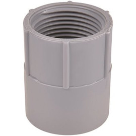 Carlon 1-1/2 in. PVC Fitting - Female Adapter (Standard Fitting)