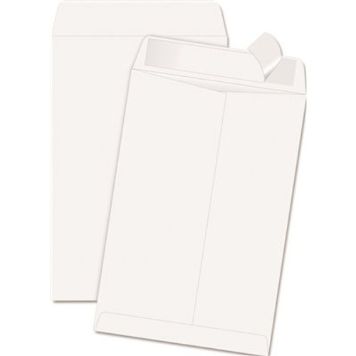 QUALITY PARK PRODUCTS REDI-STRIP CATALOG ENVELOPE, 6-1/2 IN. X 9-1/2 IN., WHITE, 100 PER BOX