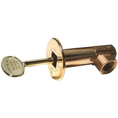 Blue Flame Angle Gas Valve Kit Includes Brass Valve, Floor Plate and Key in Polished Brass
