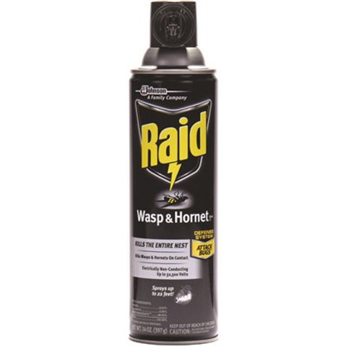 Raid 14 oz. Wasp and Hornet Killer