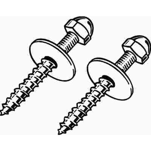 ProPlus 1/4 in. x 2-1/2 in. Toilet Screws Brass Plated
