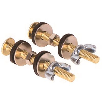 ProPlus 5/16 in. x 3 in. Solid Brass Close Coupled Bolt Combination