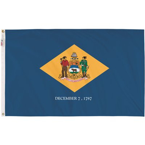 Valley Forge Flag 3 ft. x 5 ft. Nylon Delaware State Flag