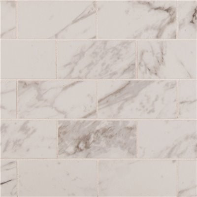 MSI Pietra Carrara 11.56 in. x 13.75 in. Polished Porcelain Patterned Look Wall Tile (8 sq. ft./Case)