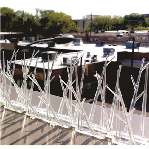 Bird-X 25 ft. Original Plastic Bird Spikes Coverage Pigeon Bird Repellent