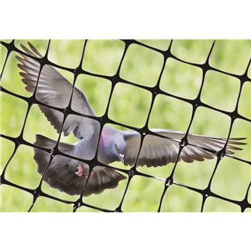 Bird-X 100 ft. x 14 ft. Structural Bird Netting