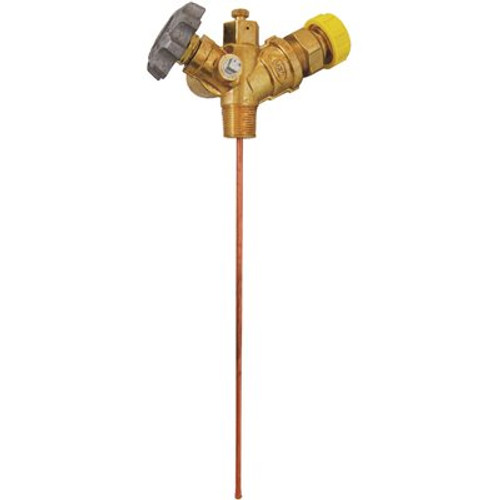 MEC 3/4 in. MNPT Multi-Service Valve with 12 in. Diptube