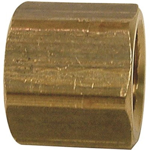 Sioux Chief 3/4 in. Lead-Free Brass FPT Cap