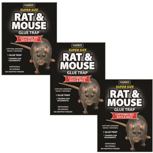 Harris Rat and Mouse Glue Trap Super-Size with Lure (3-Pack)