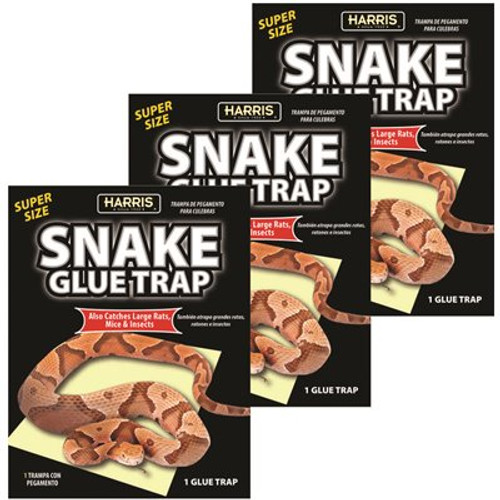 Harris Snake Glue Trap Super Size (3-Pack)