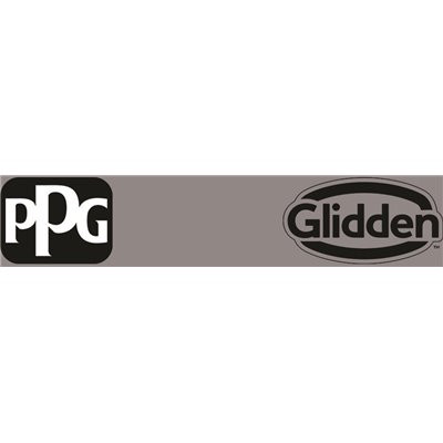 PPG TIMELESS 1 gal. #PPG1001-5 Dover Gray Satin Exterior One-Coat Paint with Primer