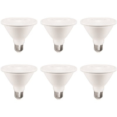 EcoSmart 75-Watt Equivalent PAR30 Short Neck Dimmable E26 Medium Base Bright White LED Light Bulb (6-Pack)