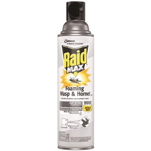 Raid Max 13 oz. Foaming Wasp and Hornet Killer