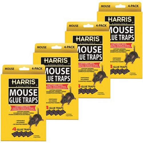 Harris Mouse Glue Traps (4-Pack)