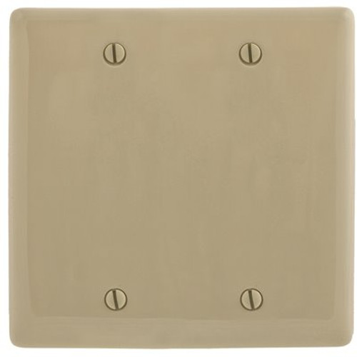 HUBBELL WIRING 2-Gang Ivory Medium Size Box Mount Blank Wall Plate