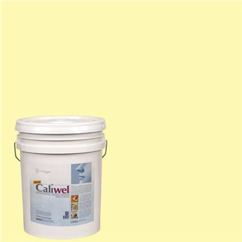 CALIWEL BNA ANTIMICROBIAL TOP COAT CALIWEL BNA ANTIMICROBIAL LATEX INT PAINT YELLOW 5 GAL