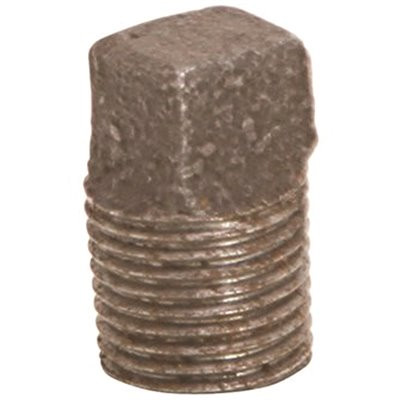 ProPlus 1-1/4 in. Black Malleable Plug