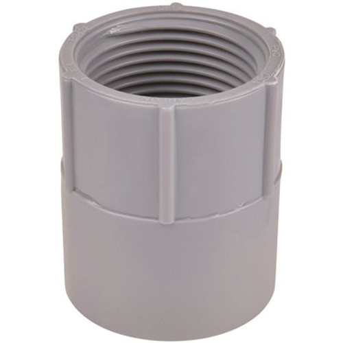 Carlon 1 in. PVC Female Adapter- Standard Fitting (Case of 10)