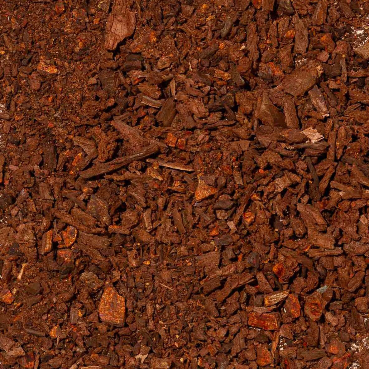 Chuchuhuasi Bark: Amazon Strength & Pain Relief | Four Visions