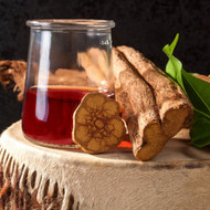 Understanding Ayahuasca: The Sacred Plant Behind the Ceremony