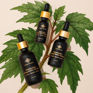 Stinging Nettle: Your Blood Purifier For Cleansing Your Inheritance