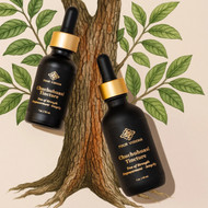 Herbs For Joint Pain: The Warrior's Tree To Rebuild Joints, Restore Vitality, and Fortify Your Body From the Root Up