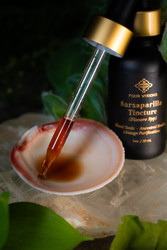 Sarsaparilla Root Tincture: The Ancestral Blood Cleanser Modern Detox Forgot