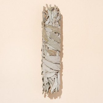 White sage smudge stick on beige background