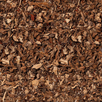 Chondur root dried plant material on neutral background