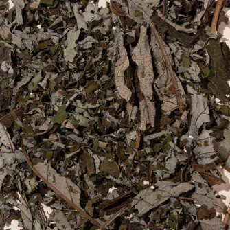 Guarumo Leaves