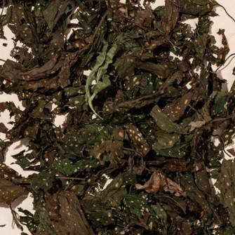 Destrancadera leaves dried plant material on beige background