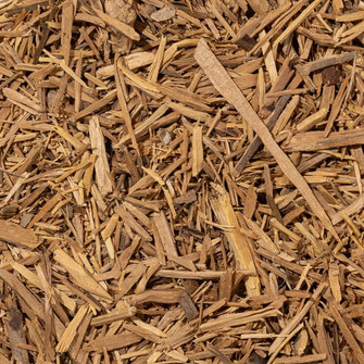 Muira puama root dried plant material on neutral background