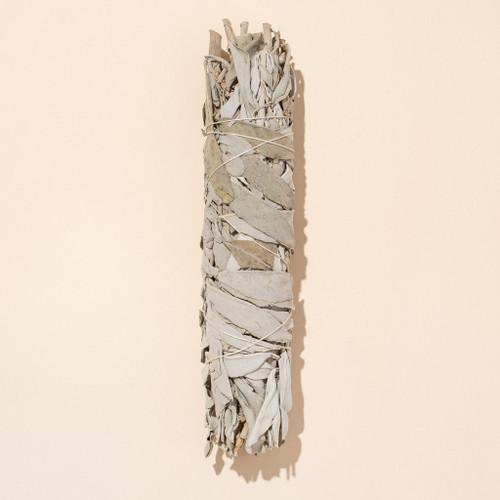 White sage smudge stick on beige background