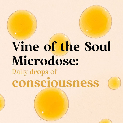 Ambi Sacha tincture benefits infographic microdose ayahuasca spiritual integration dream journeying emotional stability