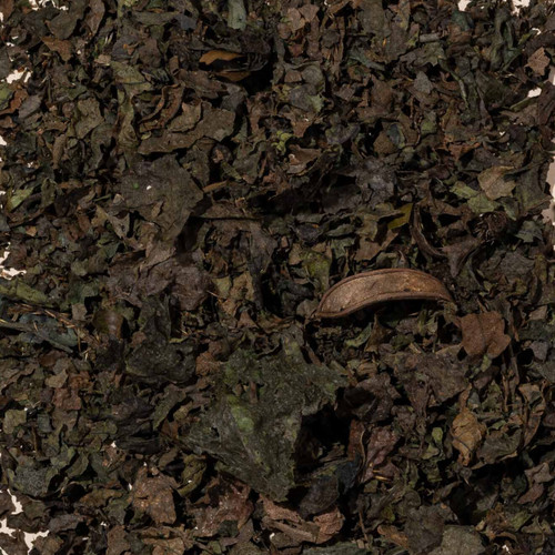 King Nettle Ortiga Leaves